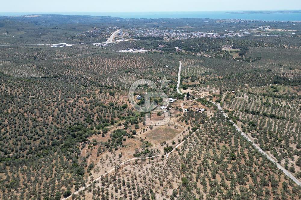 ÇANAKKALE GEYİKLİDE BOZCAADA MANZARALI 5.339 m² SATILIK ARSA
