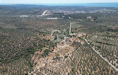 ÇANAKKALE GEYİKLİDE BOZCAADA MANZARALI 5.339 m² SATILIK ARSA