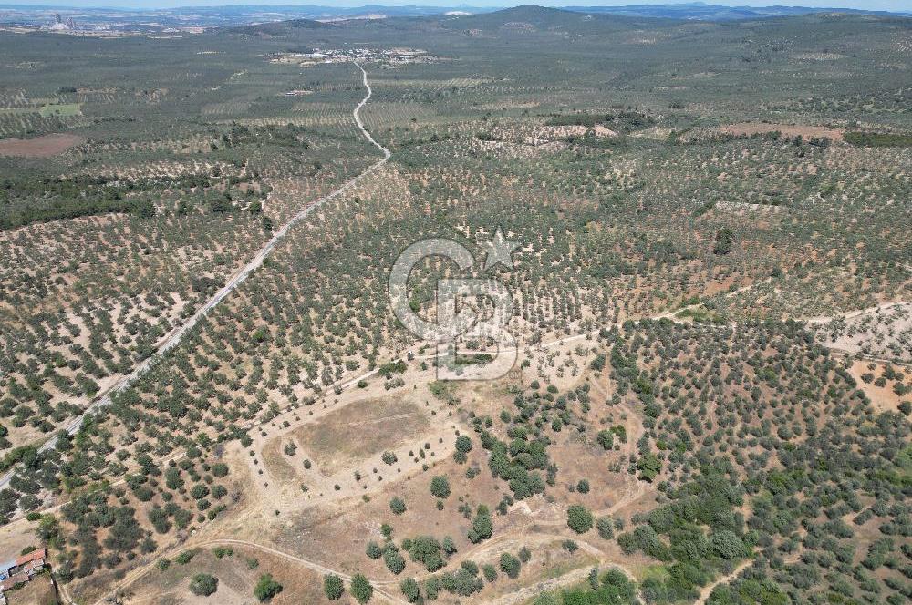 ÇANAKKALE GEYİKLİDE BOZCAADA MANZARALI 5.339 m² SATILIK ARSA