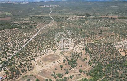 ÇANAKKALE GEYİKLİDE BOZCAADA MANZARALI 5.339 m² SATILIK ARSA