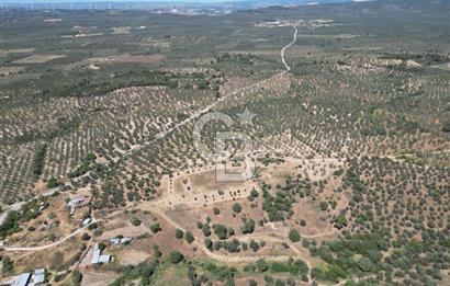 ÇANAKKALE GEYİKLİDE BOZCAADA MANZARALI 5.339 m² SATILIK ARSA