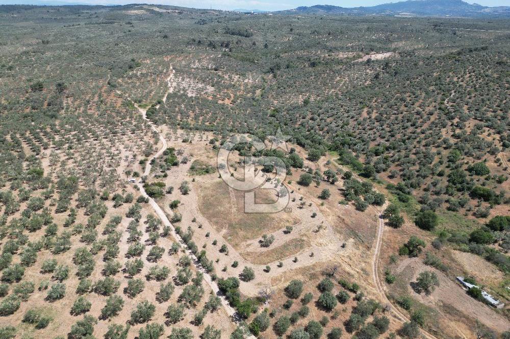 ÇANAKKALE GEYİKLİDE BOZCAADA MANZARALI 5.339 m² SATILIK ARSA