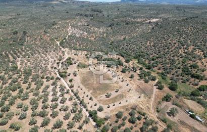 ÇANAKKALE GEYİKLİDE BOZCAADA MANZARALI 5.339 m² SATILIK ARSA
