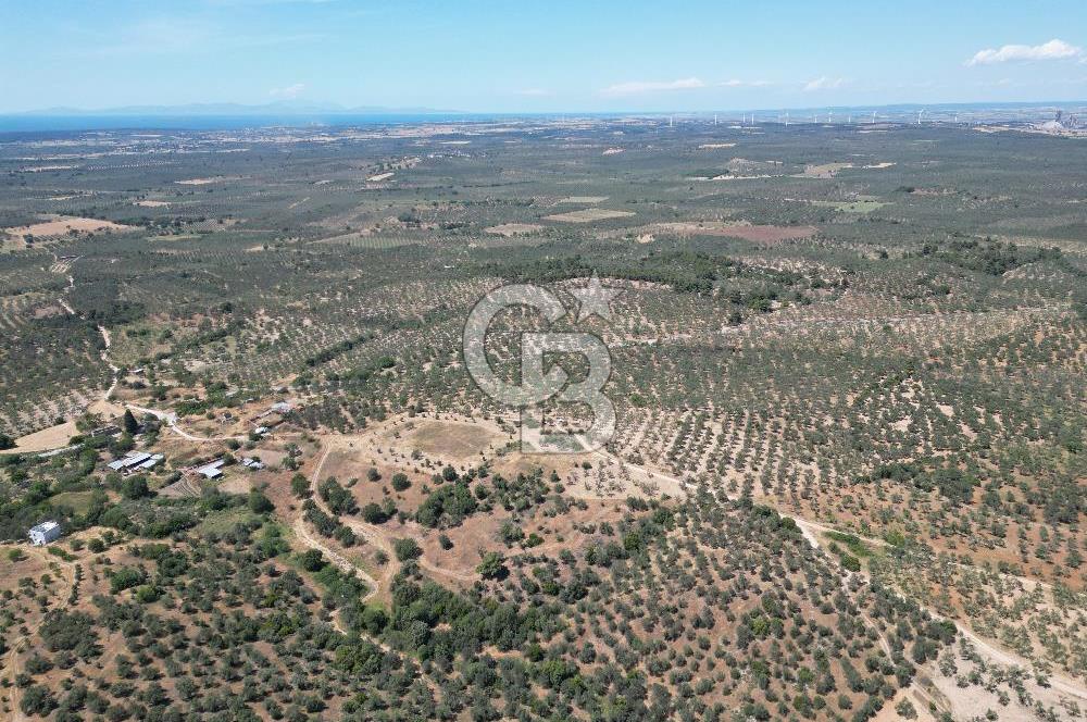 ÇANAKKALE GEYİKLİDE BOZCAADA MANZARALI 5.339 m² SATILIK ARSA