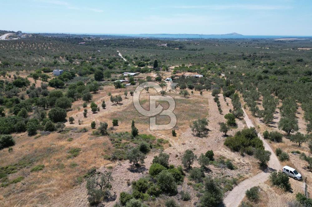 ÇANAKKALE GEYİKLİDE BOZCAADA MANZARALI 5.339 m² SATILIK ARSA