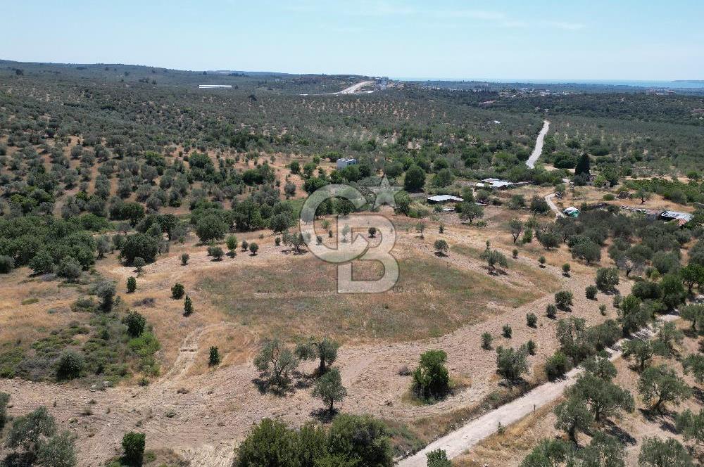 ÇANAKKALE GEYİKLİDE BOZCAADA MANZARALI 5.339 m² SATILIK ARSA