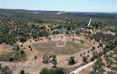 ÇANAKKALE GEYİKLİDE BOZCAADA MANZARALI 5.339 m² SATILIK ARSA