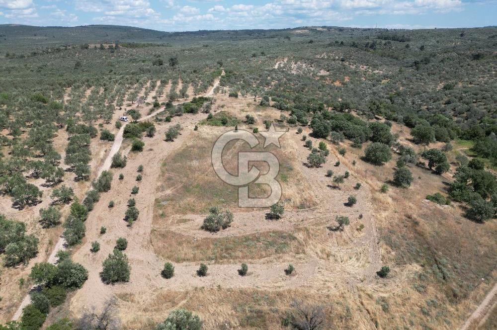 ÇANAKKALE GEYİKLİDE BOZCAADA MANZARALI 5.339 m² SATILIK ARSA