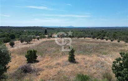ÇANAKKALE GEYİKLİDE BOZCAADA MANZARALI 5.339 m² SATILIK ARSA