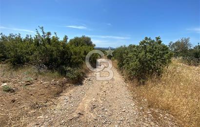 ÇANAKKALE GEYİKLİDE BOZCAADA MANZARALI 5.339 m² SATILIK ARSA