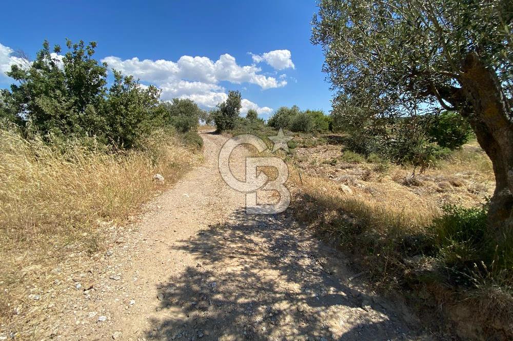 ÇANAKKALE GEYİKLİDE BOZCAADA MANZARALI 5.339 m² SATILIK ARSA