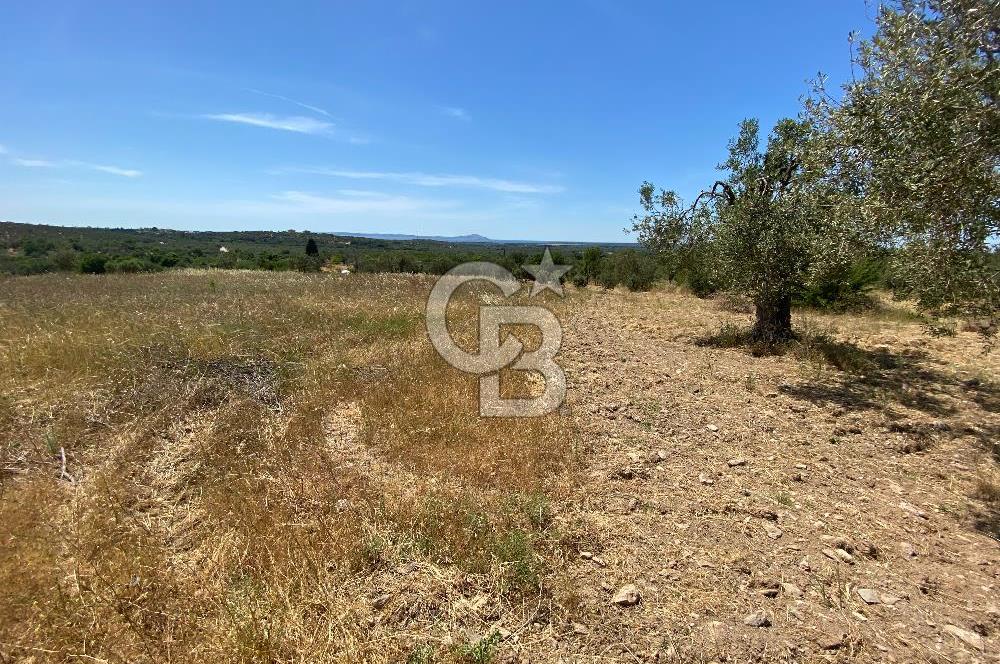 ÇANAKKALE GEYİKLİDE BOZCAADA MANZARALI 5.339 m² SATILIK ARSA