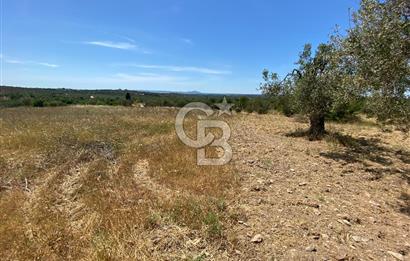 ÇANAKKALE GEYİKLİDE BOZCAADA MANZARALI 5.339 m² SATILIK ARSA