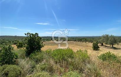 ÇANAKKALE GEYİKLİDE BOZCAADA MANZARALI 5.339 m² SATILIK ARSA