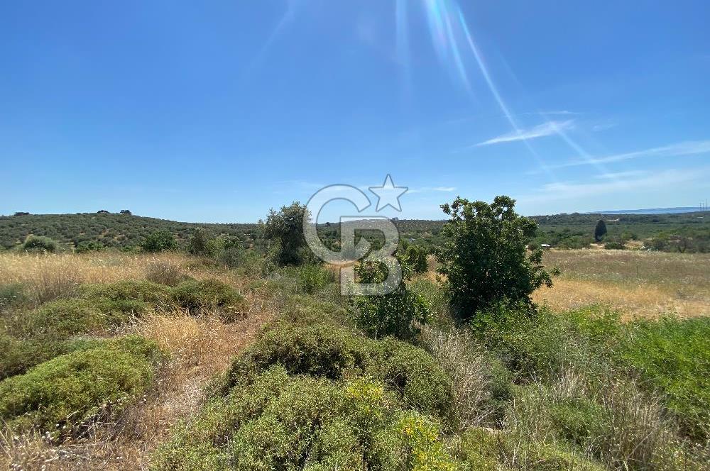ÇANAKKALE GEYİKLİDE BOZCAADA MANZARALI 5.339 m² SATILIK ARSA