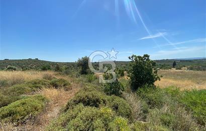ÇANAKKALE GEYİKLİDE BOZCAADA MANZARALI 5.339 m² SATILIK ARSA