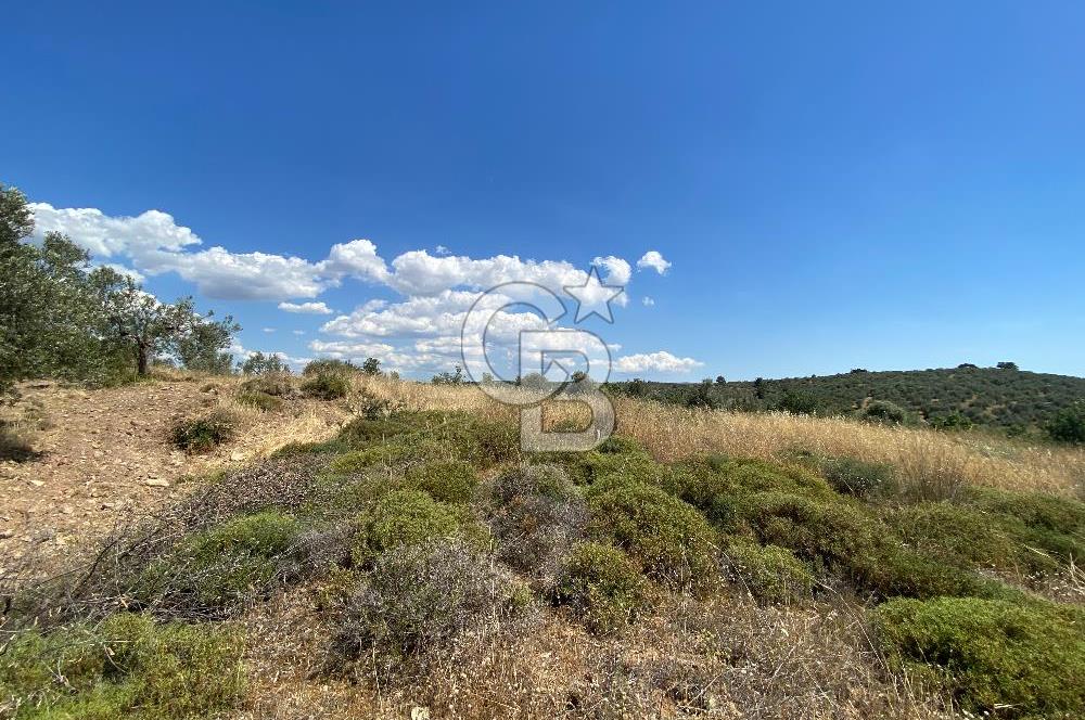 ÇANAKKALE GEYİKLİDE BOZCAADA MANZARALI 5.339 m² SATILIK ARSA