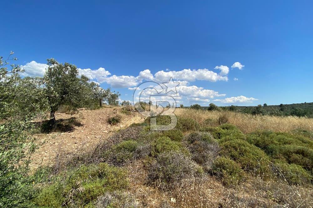 ÇANAKKALE GEYİKLİDE BOZCAADA MANZARALI 5.339 m² SATILIK ARSA