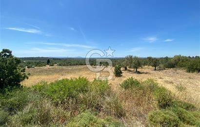 ÇANAKKALE GEYİKLİDE BOZCAADA MANZARALI 5.339 m² SATILIK ARSA