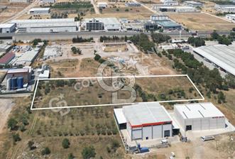 Kemalpaşa Ansızca'da Satılık Sanayi Arsası