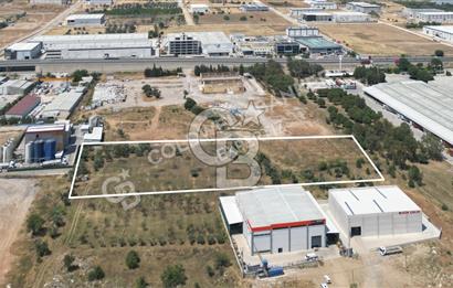 Kemalpaşa Ansızca'da Satılık Sanayi Arsası