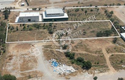 Kemalpaşa Ansızca'da Satılık Sanayi Arsası
