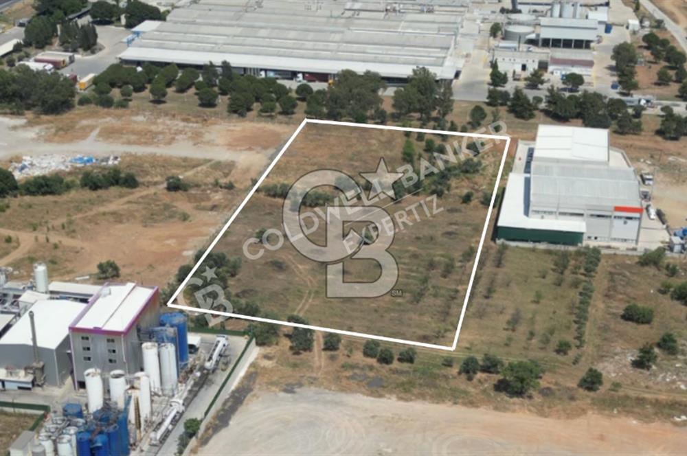 Kemalpaşa Ansızca'da Satılık Sanayi Arsası