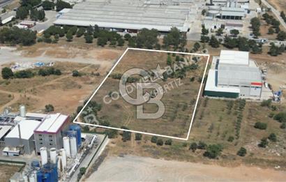 Kemalpaşa Ansızca'da Satılık Sanayi Arsası