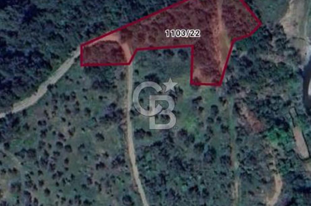 Payamlı'da 3105 m2 Akarsu Dibinde Keyifli Yatırımlık Arazi