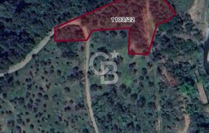 Payamlı'da 3105 m2 Akarsu Dibinde Keyifli Yatırımlık Arazi