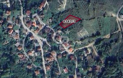 Şile Geredeli satılık arsa