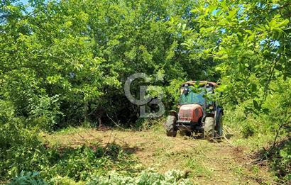 Şile Geredeli Yatırıma Uygun Satılık Arsa