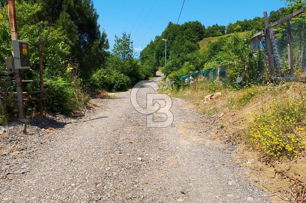 Şile Geredeli Yatırıma Uygun Satılık Arsa