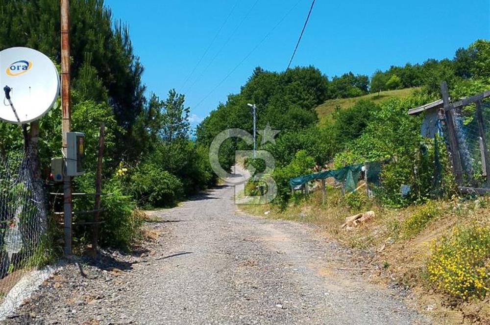 Şile Geredeli Yatırıma Uygun Satılık Arsa