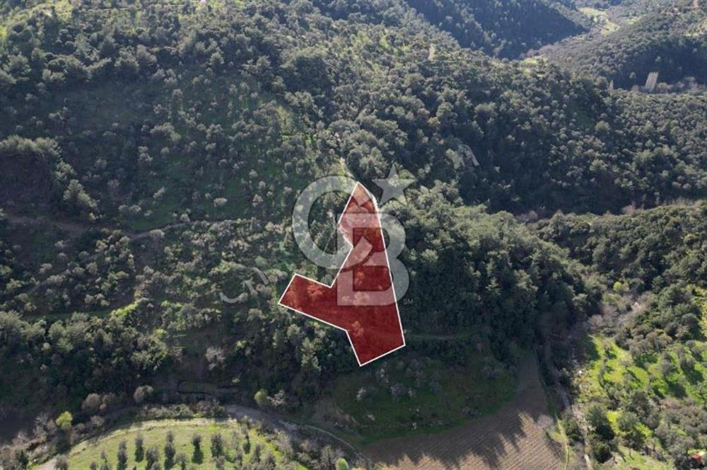 Payamlı'da 3105 m2 Akarsu Dibinde Keyifli Yatırımlık Arazi
