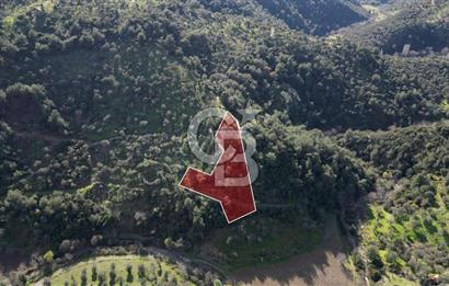 Payamlı'da 3105 m2 Akarsu Dibinde Keyifli Yatırımlık Arazi