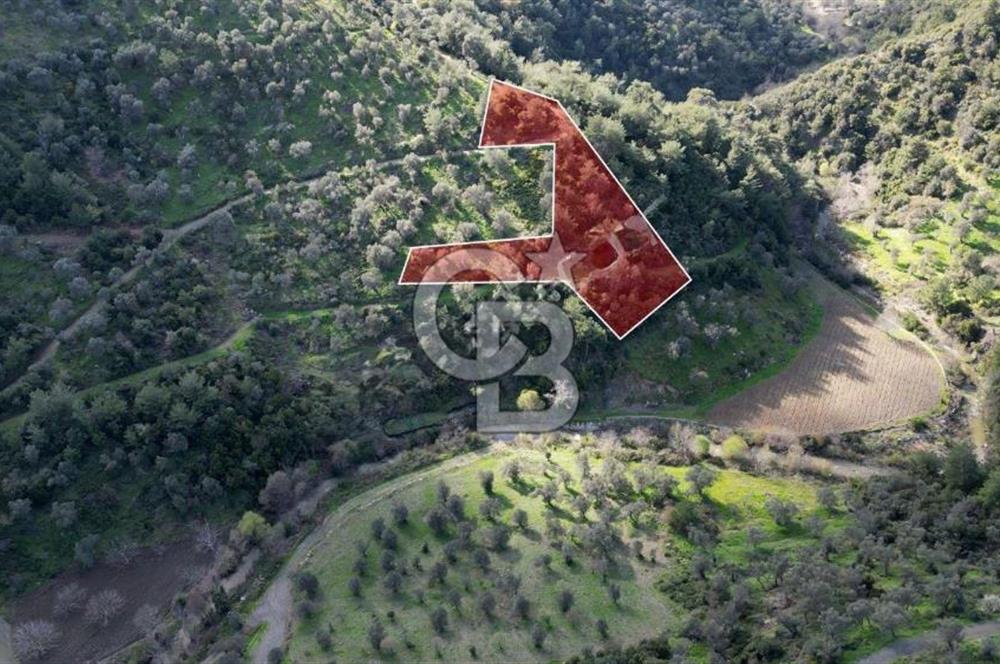 Payamlı'da 3105 m2 Akarsu Dibinde Keyifli Yatırımlık Arazi