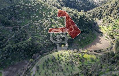 Payamlı'da 3105 m2 Akarsu Dibinde Keyifli Yatırımlık Arazi