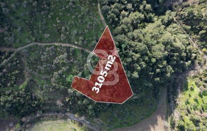 Payamlı'da 3105 m2 Akarsu Dibinde Keyifli Yatırımlık Arazi