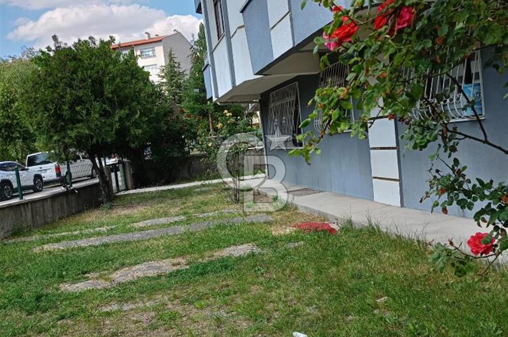  ÇOK AMAÇLI KOMPLE SATILIK KAÇIRILMAYACAK FIRSAT BİNA      Favorilerime Ekle     Yazdır     Facebook ile paylaş X ile paylaş E-posta ile gönder