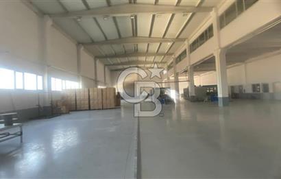 YATIRIMA HAZIR SATILIK ÜRETİM TESİSİ BURHANİYE / ŞARKÖY OSB