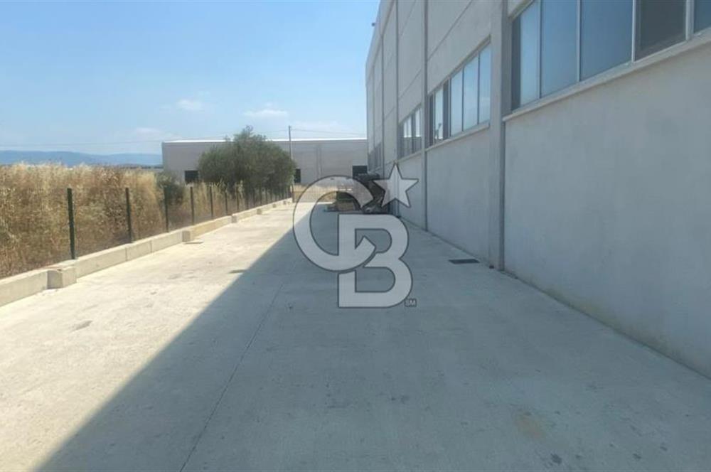 YATIRIMA HAZIR SATILIK ÜRETİM TESİSİ BURHANİYE / ŞARKÖY OSB