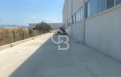 YATIRIMA HAZIR SATILIK ÜRETİM TESİSİ BURHANİYE / ŞARKÖY OSB
