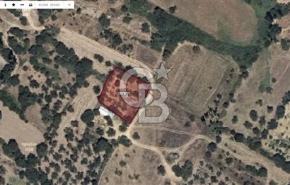 ÇANAKKALE LAPSEKİ'DE 1233 m2 Tek Tapu Satılık YATIRIMLIK ARSA