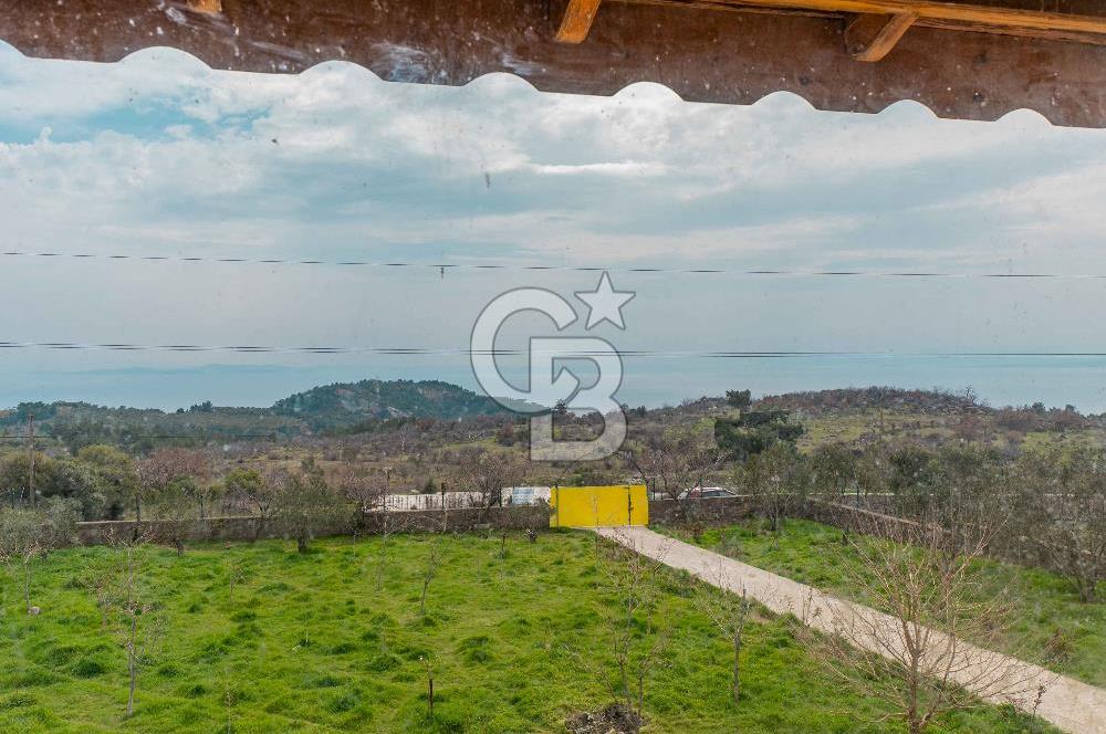 ÇANAKKALE AYVACIK SAZLI KÖYÜ 6.250 M2 ARSA VE TAŞ EV