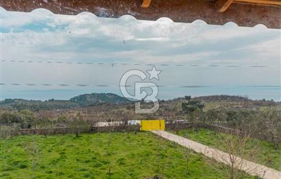 ÇANAKKALE AYVACIK SAZLI KÖYÜ 6.250 M2 ARSA VE TAŞ EV