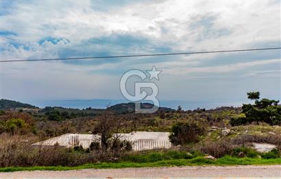 ÇANAKKALE AYVACIK SAZLI KÖYÜ 6.250 M2 ARSA VE TAŞ EV