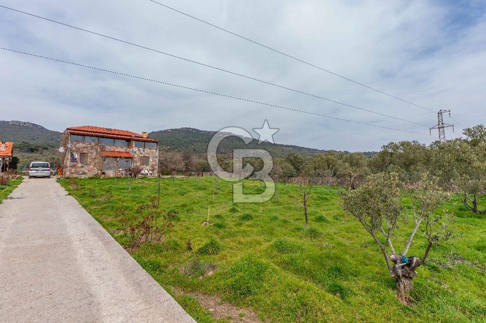 ÇANAKKALE AYVACIK SAZLI KÖYÜ 6.250 M2 ARSA VE TAŞ EV