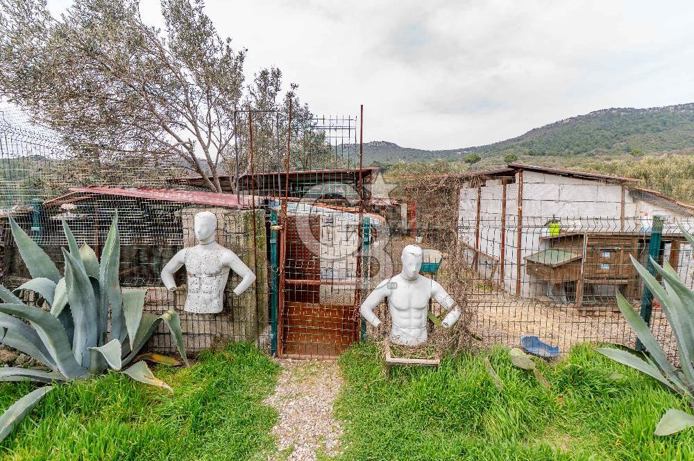 ÇANAKKALE AYVACIK SAZLI KÖYÜ 6.250 M2 ARSA VE TAŞ EV