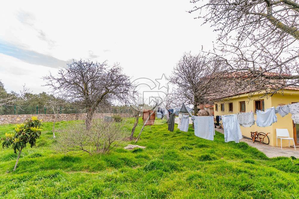 ÇANAKKALE AYVACIK SAZLI KÖYÜ 6.250 M2 ARSA VE TAŞ EV